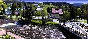 Hubertus